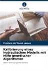 Cryslara de Souza Lemes - Kalibrierung eines hydraulischen Modells mit Hilfe genetischer Algorithmen