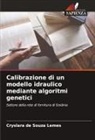 Cryslara de Souza Lemes - Calibrazione di un modello idraulico mediante algoritmi genetici
