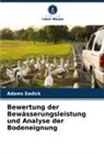 Adams Sadick - Bewertung der Bewässerungsleistung und Analyse der Bodeneignung