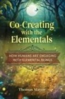 Thomas Mayer - Co-Creating with the Elementals