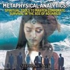 Stephanie Salt - Metaphysical Analytics