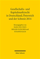 Holger Fleischer, Susanne Kalss, Hans-Ueli Vogt - Gesellschafts- und Kapitalmarktrecht in Deutschland, Österreich und der Schweiz 2014