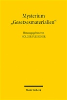 Holger Fleischer - Mysterium "Gesetzesmaterialien"