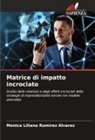 Mónica Liliana Ramírez Álvarez - Matrice di impatto incrociato