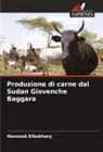 Hasseeb Elbukhary - Produzione di carne dal Sudan Giovenche Baggara