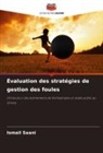 Ismail Saani - Évaluation des stratégies de gestion des foules