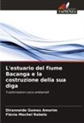 Diranneide Gomes Amorim, Flávia Mochel Rebelo - L'estuario del fiume Bacanga e la costruzione della sua diga