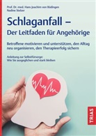 Hans Joachim von Büdingen, Nadine Stelzer, Hans Joachim von Büdingen - Schlaganfall - Der Leitfaden für Angehörige