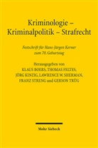 Klaus Boers, Thomas Feltes, Jörg Kinzig, Lawrence W. Sherman, Franz Streng, Gerson Trüg - Kriminologie - Kriminalpolitik - Strafrecht