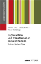 Valerie Dahl, Stefanie Ernst, Adrian Jitschin - Organisation und Transformation sozialer Kanons