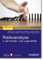 Claudia Englisch-Grothe, Jennifer Enzweiler, Eva Fidder, Kevin Gelhaus, Bärbel Kuchenbuch, Martina Ulrich... - Risikoanalyse in der Kinder- und Jugendhilfe