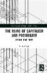 Borghi Vando - The Ruins of Capitalism and Possibilism