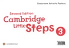 Cambridge Little Steps Level 3 Classroom Activity Posters