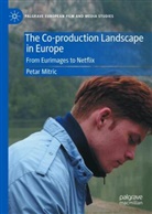 Petar Mitric - The Co-production Landscape in Europe
