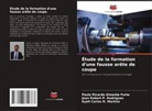 Paulo Ricardo Almeida Forte, Jean Robert P. Rodrigues, Kyell Carlos R. Martins - Étude de la formation d'une fausse arête de coupe