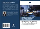 Paulo Ricardo Almeida Forte, Jean Rob P Rodrigues, Jean Robert P. Rodrigues, Kyell Carlos R. Martins - Studie über die Bildung einer falschen Schneide