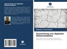 Miqueias Lima Duarte - Auswertung von digitalen Höhenmodellen