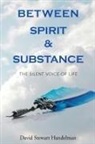 David Stewart Handelman - Between Spirit and Substance