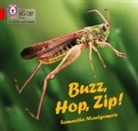 Samantha Montgomerie - Buzz, Hop, Zip!
