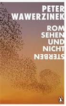 Peter Wawerzinek - Rom sehen - und nicht sterben