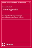 Hannes Arthur Wolff - Gehirnorganoide