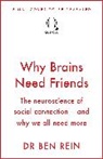 Ben Rein - Why Brains Need Friends