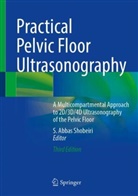 S Abbas Shobeiri, S. Abbas Shobeiri - Practical Pelvic Floor Ultrasonography