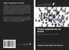 Antônio Tadeu Ribeiro de Oliveira - Flujos migratorios en Brasil