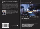 Paulo Ricardo Almeida Forte, Jean Robert P. Rodrigues, Kyell Carlos R. Martins - Estudio de la formación de un falso filo