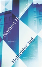 Norbert Hummelt - Hellichter Tag