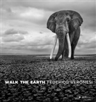 Federico Veronesi - Walk the Earth