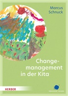 Marcus Schnuck - Changemanagement in der Kita