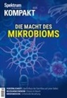 Spektrum der Wissenschaft - Spektrum Kompakt 3/2025 - Die Macht des Mikrobioms
