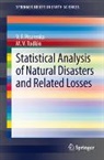 V. F. Pisarenko, V.F. Pisarenko, M. V. Rodkin, M.V. Rodkin - Statistical Analysis of Natural Disasters and Related Losses