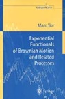 Marc Yor - Exponential Functionals of Brownian Motion and Related Processes