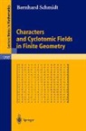 B. Schmidt, Bernhard Schmidt - Characters and Cyclotomic Fields in Finite Geometry