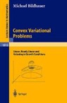 M. Bildhauer, Michael Bildhauer - Convex Variational Problems