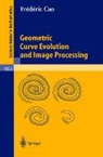 F. Cao, Frédéric Cao - Geometric Curve Evolution and Image Processing