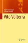Angelo Guerraggio, Giovanni Paoloni - Vito Volterra