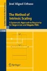 José Miguel Urbano - The Method of Intrinsic Scaling