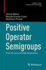 András Bátkai, Marjeta Kramar Fijav¿, Marjeta Kramar Fijavz, Marjeta Kramar Fijavž, Abdelaziz Rhandi - Positive Operator Semigroups
