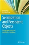 Petr Machá¿ek, Petr Machácek, Petr Macháček, Jiri Soukup - Serialization and Persistent Objects