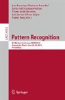 Victor Ayala Ramírez, Jesús Ariel Carrasco-Ochoa, Xiaoyi Jiang, José Francisco Martínez-Trinidad, José Arturo Olvera-López - Pattern Recognition