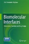 Ariel Fernández Stigliano - Biomolecular Interfaces