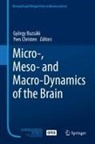 György Buzsáki, Yves Christen - Micro-, Meso- and Macro-Dynamics of the Brain