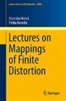 Stanislav Hencl, Pekka Koskela - Lectures on Mappings of Finite Distortion