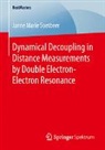 Janne Marie Soetbeer - Dynamical Decoupling in Distance Measurements by Double Electron-Electron Resonance
