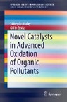 Süheyda Atalay, Gülin Ersöz - Novel Catalysts in Advanced Oxidation of Organic Pollutants