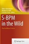 Albert Fleischmann, Werner Schmidt, Christian Stary - S-BPM in the Wild