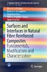 Hélène Angellier-Coussy, Anne Bergeret, Stéphane Corn, Nicolas Le Moigne, Belkacem Otazaghine - Surfaces and Interfaces in Natural Fibre Reinforced Composites